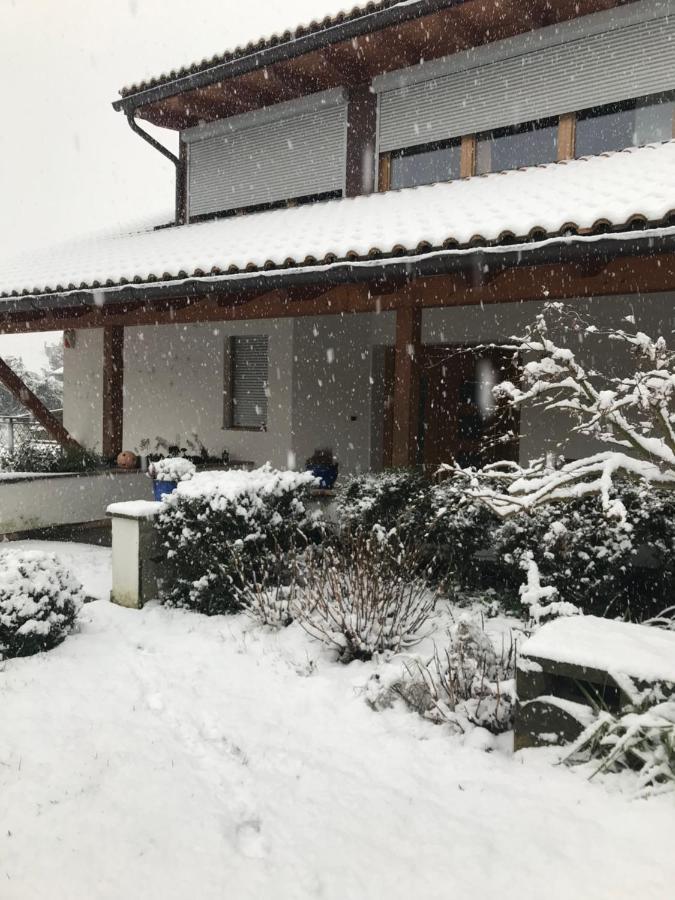 Haus Greti Apartment Magre all' Adige Exterior photo